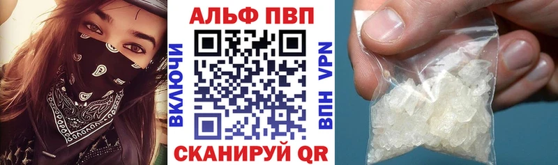 Альфа ПВП СК КРИС Камешково