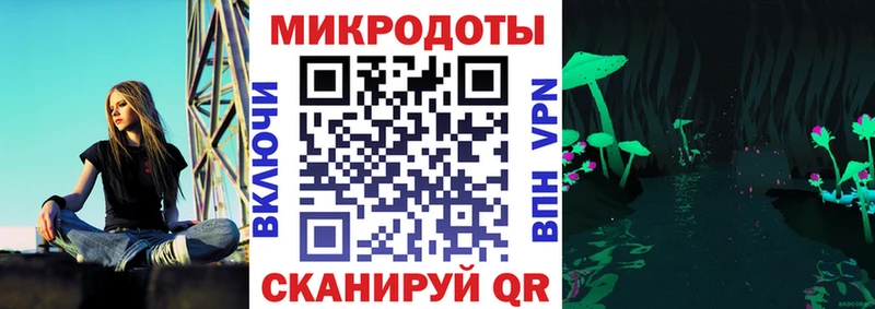 Псилоцибиновые грибы Psilocybine cubensis купить наркоту Камешково